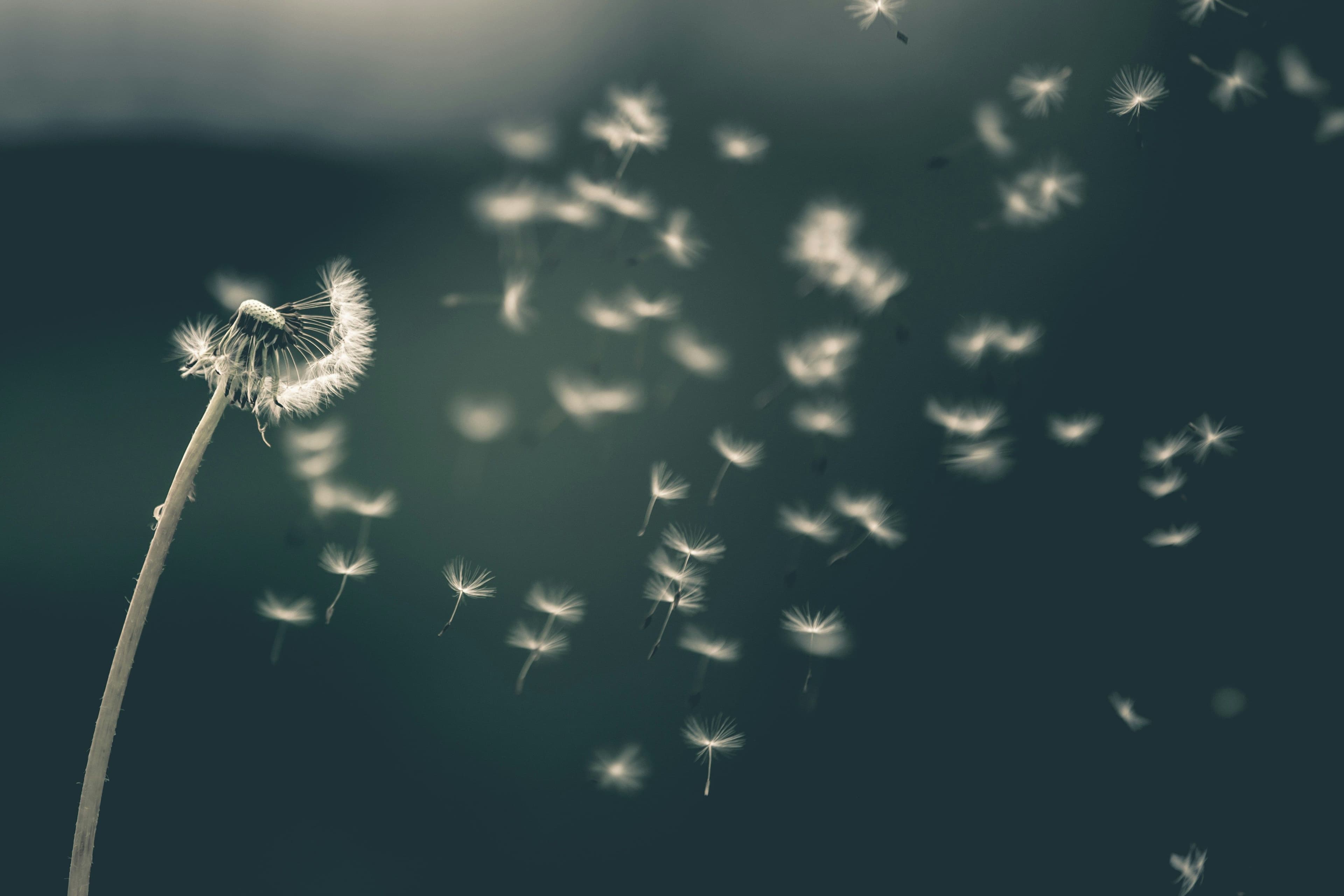 Managing Withdrawal Symptoms