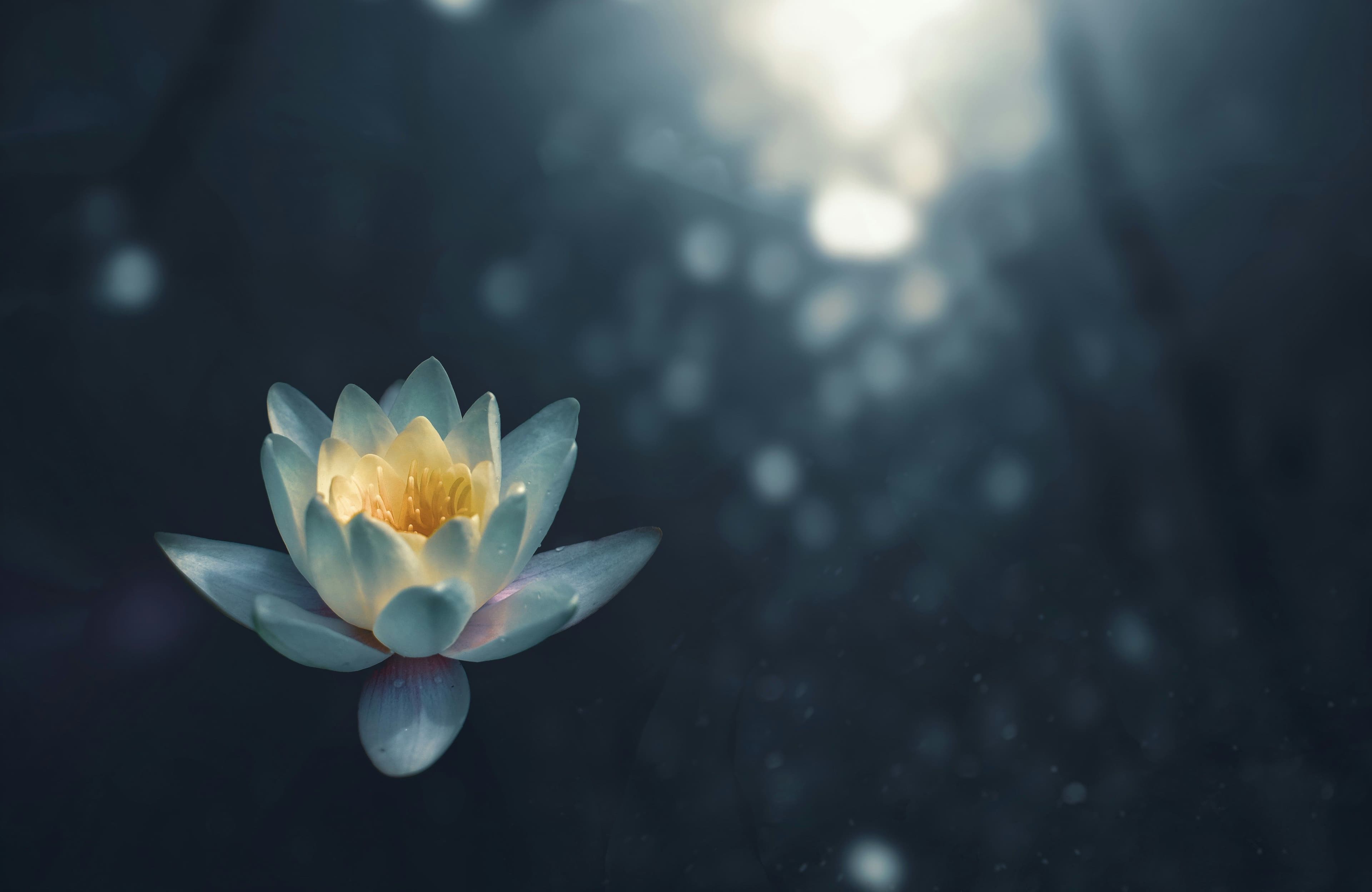 Supporting Wellbeing